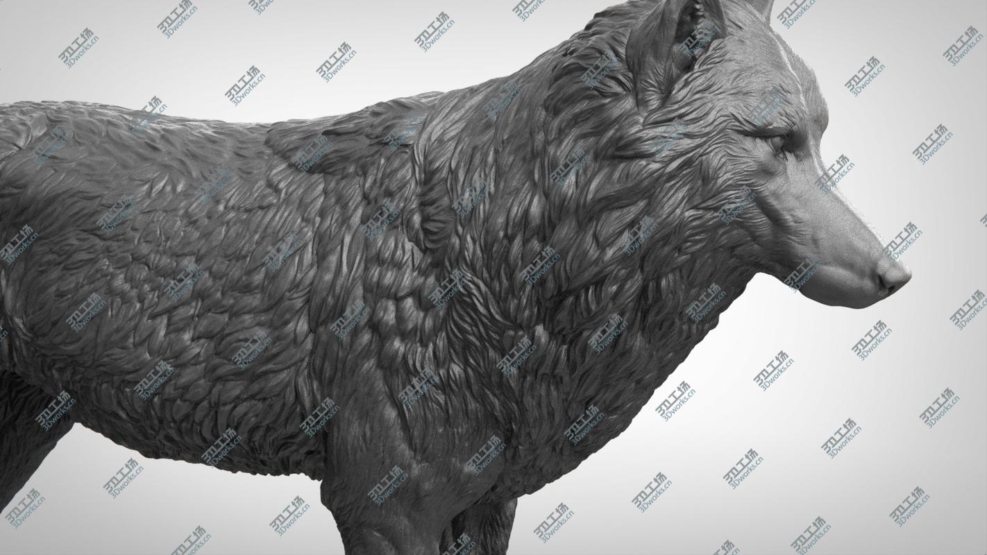 images/goods_img/2021040165/Wolf 3D model/4.jpg